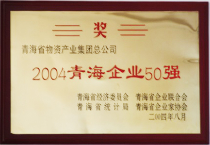 2004青海企業(yè)50強